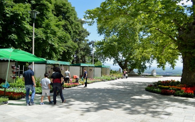 Εκδήλωση ενδιαφέροντος για την 7η Ανθοκομική Έκθεση του Δήμου Νάουσας