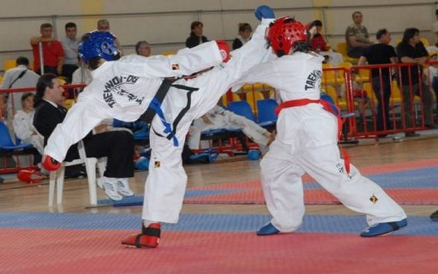 TAEKWODO nireas