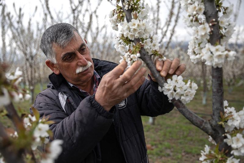Στο Γιαννακοχώρι ο Πελέ των βιοκαλλιεργητών, Κώστας Κελεσίδης