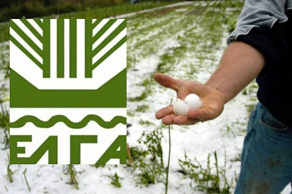 Άνοιξε η προθεσμία δηλώσεων για τις χαλαζοζημιές σε Επισκοπή, Ξεχασμένη, Λουτρό και Κεφαλοχώρι