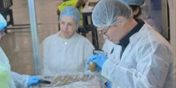 Ξεκίνησε η εξαγωγή ακτινιδίων στη Νότια Κορέα από την Κοινοπραξία Ημαθίας