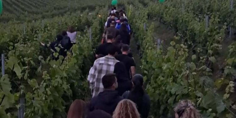 Μια βραδιά φύσης και κρασιού στο Κτήμα Κυρ-Γιάννη