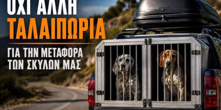Κυνηγετικός Σύλλογος Βέροιας: Τι ισχύει για τα κουτιά μεταφοράς σκύλων στα οχήματα