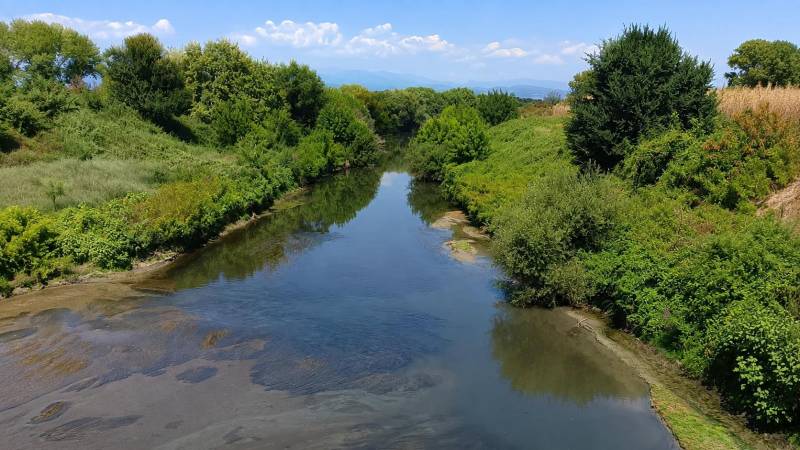 Για ακόμη ένα καλοκαίρι η Τάφρος 66 εκπέμπει SOS – Νεκρά ψάρια, αφόρητη δυσοσμία και αγανάκτηση κατοίκων