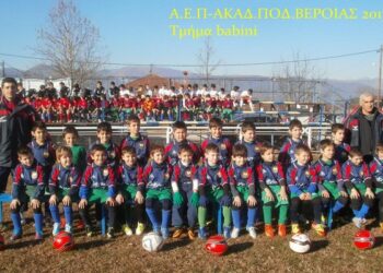 Νέα της Ακαδημίας Βέροιας
