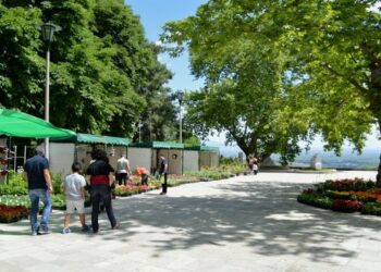 Εκδήλωση ενδιαφέροντος για την  7η Ανθοκομική Έκθεση του Δήμου Νάουσας