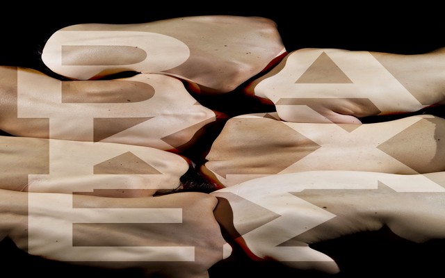 Η παράσταση «Βάκχες» από την ομάδα Aniline Dancetheatre στις 27/8 στην Βέροια