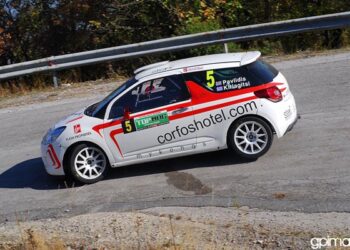 rally pavlidis