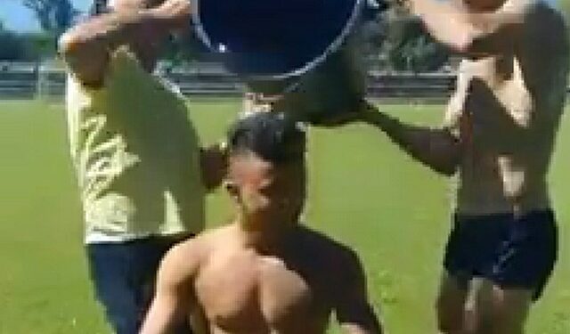 bargan bougelo