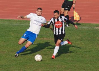 enosi naousa kafes