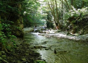 Εκδρομή στο Φαράγγι της Κράστας