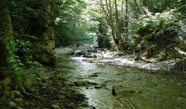 Εκδρομή στο Φαράγγι της Κράστας