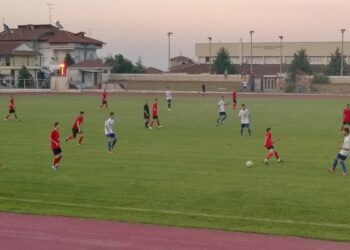 naousa mel