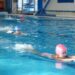 Nireas swimm