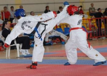 TAEKWODO nireas