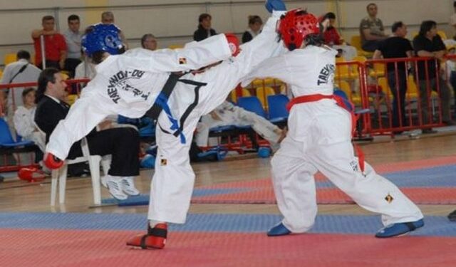 TAEKWODO nireas