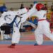 TAEKWODO nireas