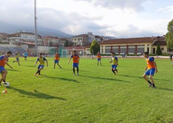 naousa pro