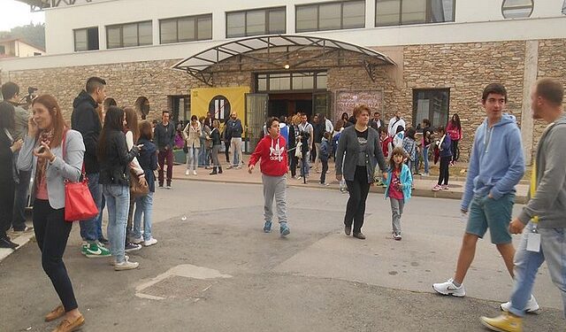 niff tsexos