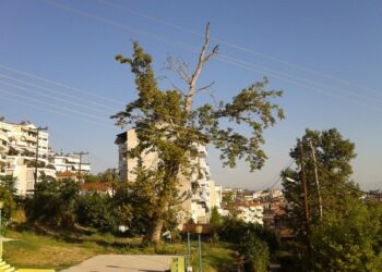 platani kallithea
