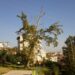 platani kallithea