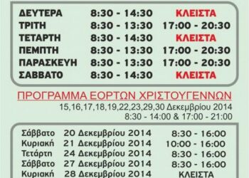 Programa eborikos sillogos alexandria