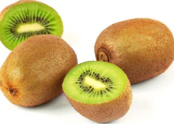 aktinidia
