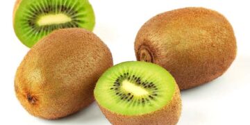 aktinidia