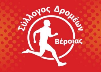 dromeis logo