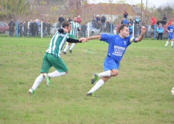 lianovergi asteras