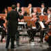 Vienna Classic Orchestra 002