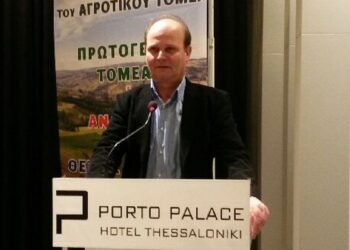 aggelinas porto
