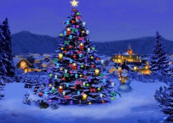 christmas-tree-nature
