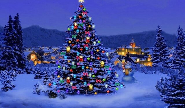 christmas-tree-nature