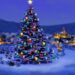 christmas-tree-nature