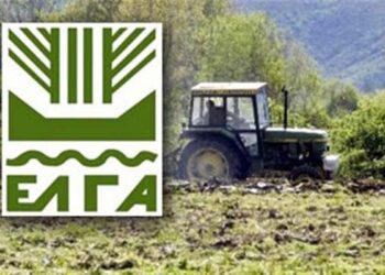 Πορίσματα εκτίμησης ζημιών από βροχόπτωση στην κοινότητα Πλατέος