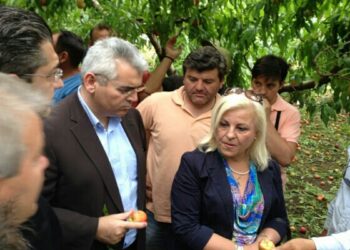 Γεωργία Μπατσαρά: “Μπήκαν τα χρήματα για τους ροδακινοπαραγωγούς”
