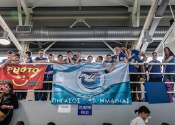 pegasus naousa2015-2