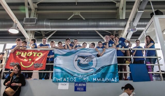 pegasus naousa2015-2