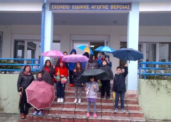 14o eidiko