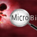 Ομάδα Θηλασμού Βέροιας: Προβολή ταινίας MICROBIRTH – Όλα ξεκινούν με τη γέννηση
