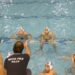 nasi paides