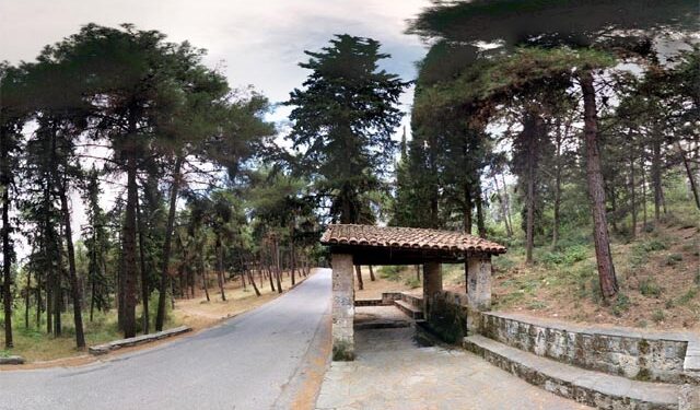 Ανακλήθηκε η απόφαση για απαγόρευση κυκλοφορίας στα Άλση Παπάγου, Βικέλα και Τριλόφου