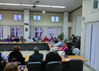 Δήμος Νάουσας: Κάλεσμα εθελοντών
