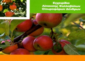 egxeiridio
