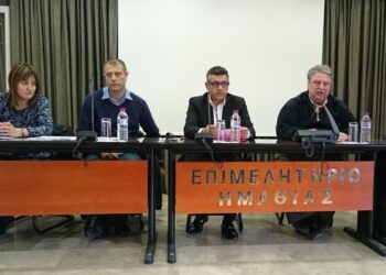 epimelitirio oaee