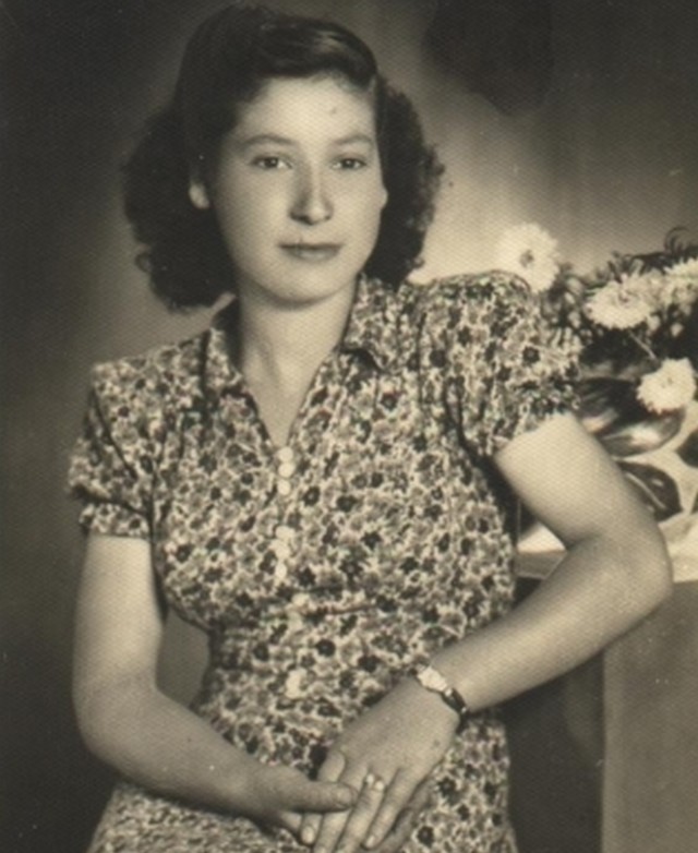 sterina