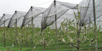 Μέχρι 9 Οκτωβρίου οι οριστικοποιήσεις των αιτήσεων στα αντιχαλαζικά