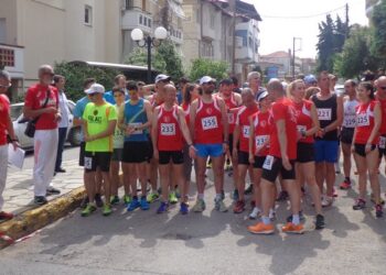 dromeis veria kallithea