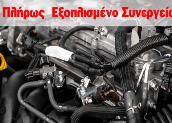 auto egefalos